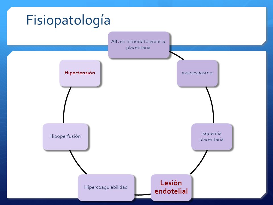 Fisiopatología del significado hipertensivo Fisiopatología del significado hipertensivo